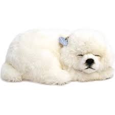 PERFECT PETZ MALTESE