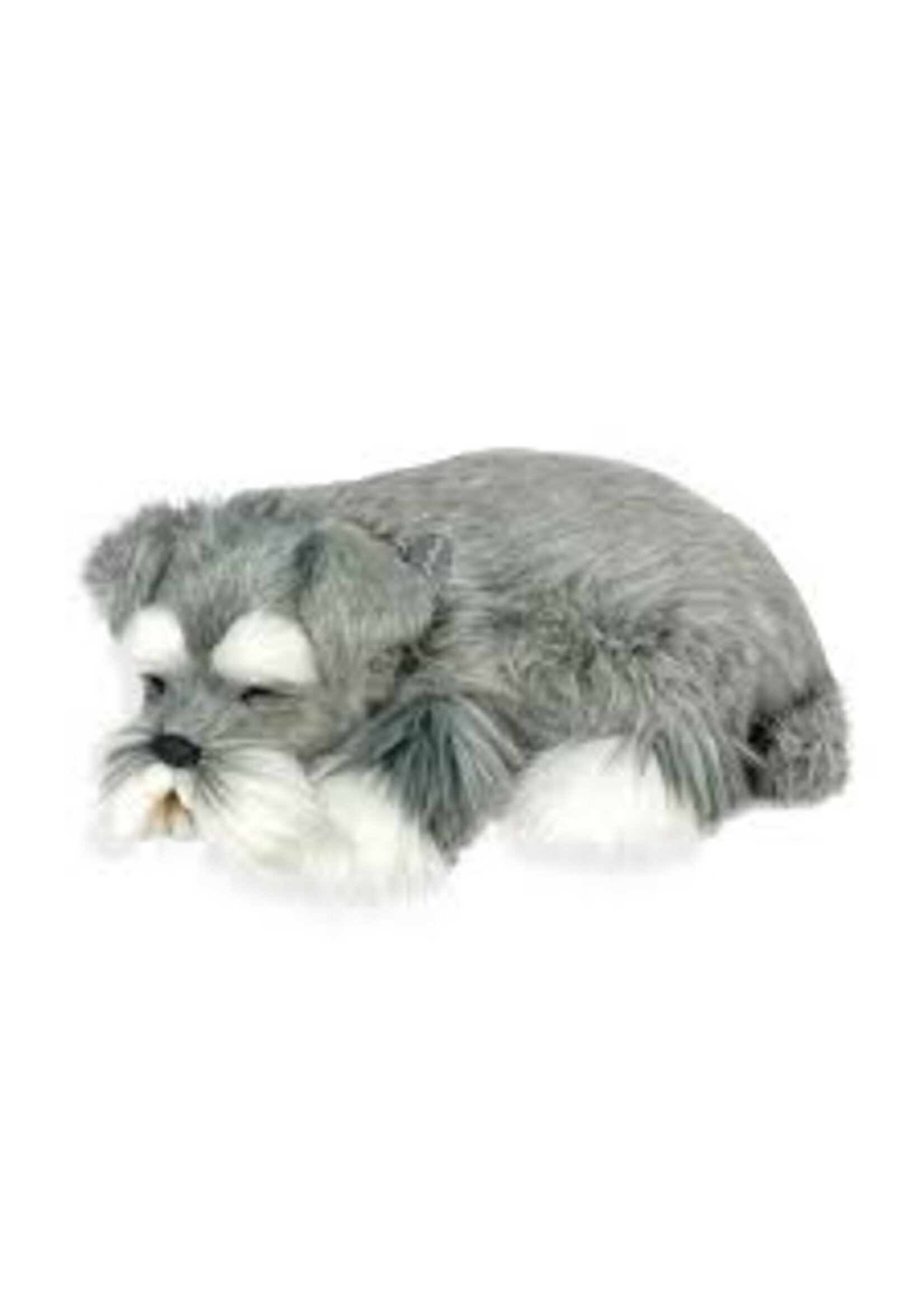 PERFECT PETZZZ PERFECT PETZ SCHNAUZER