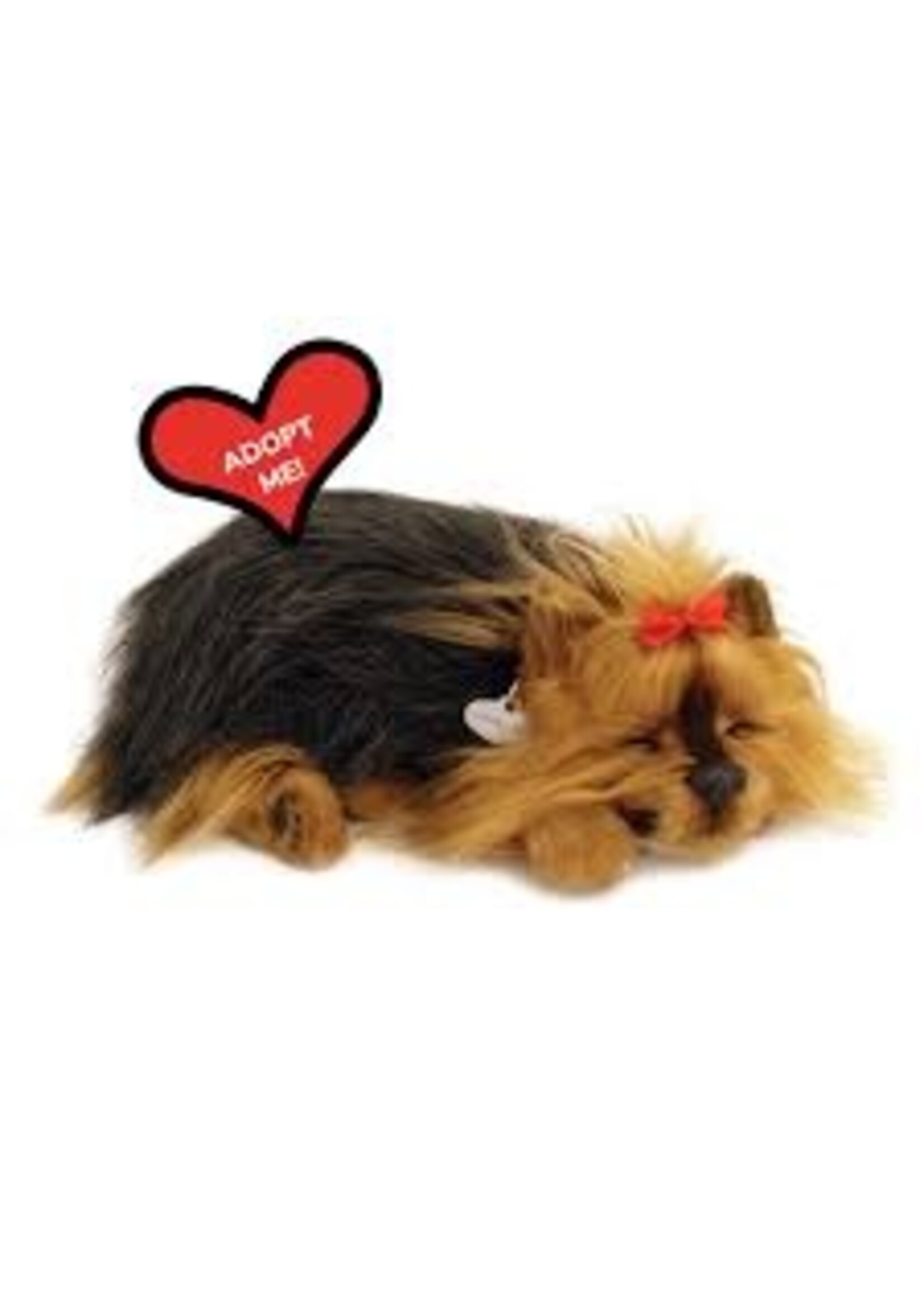 PERFECT PETZZZ PERFECT PETZ YORKIE