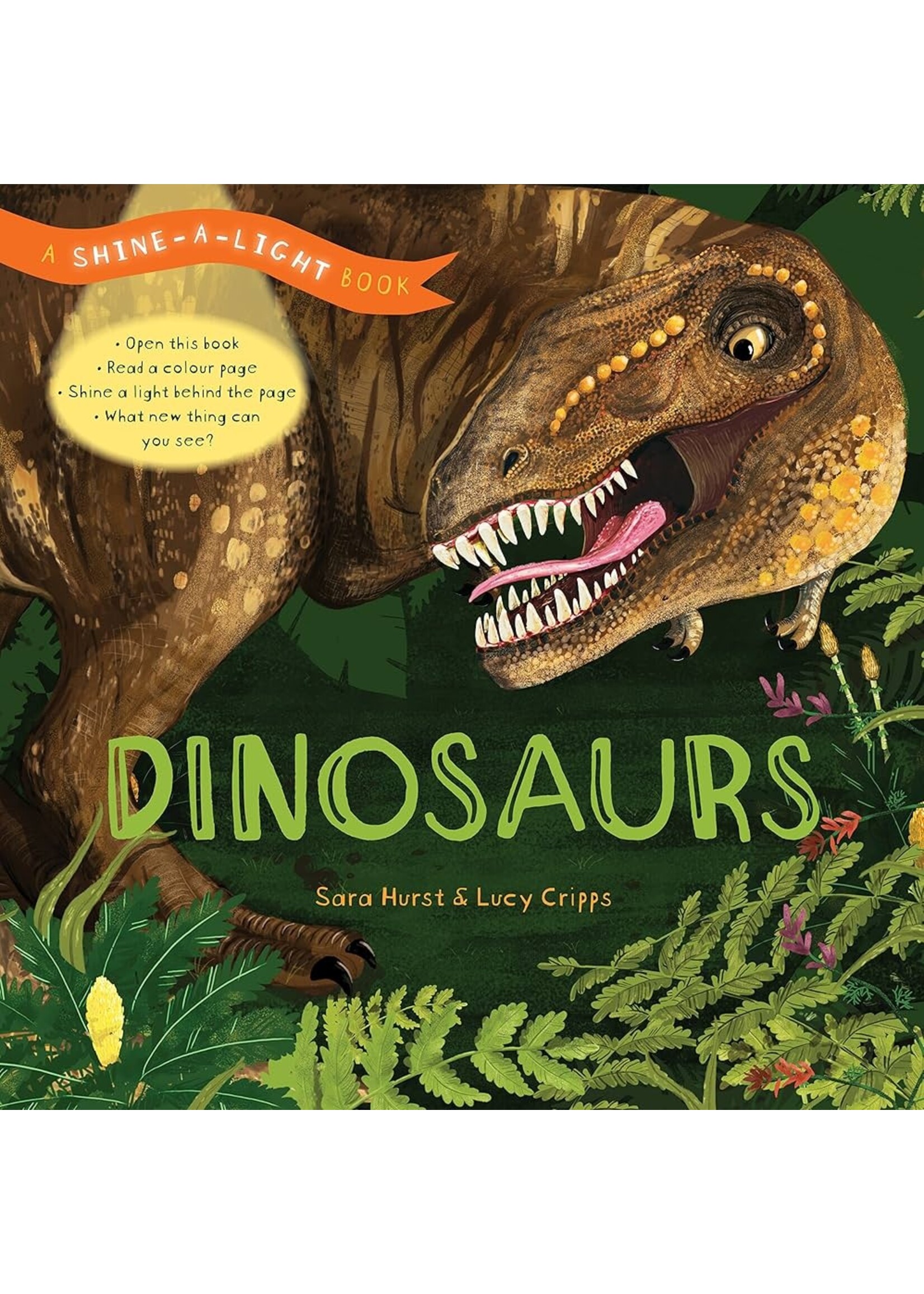 BOOK SHINE A LIGHT DINOSAURS
