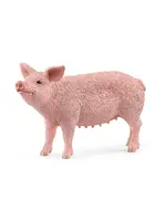 SCHLEICH SCHLEICH PIG