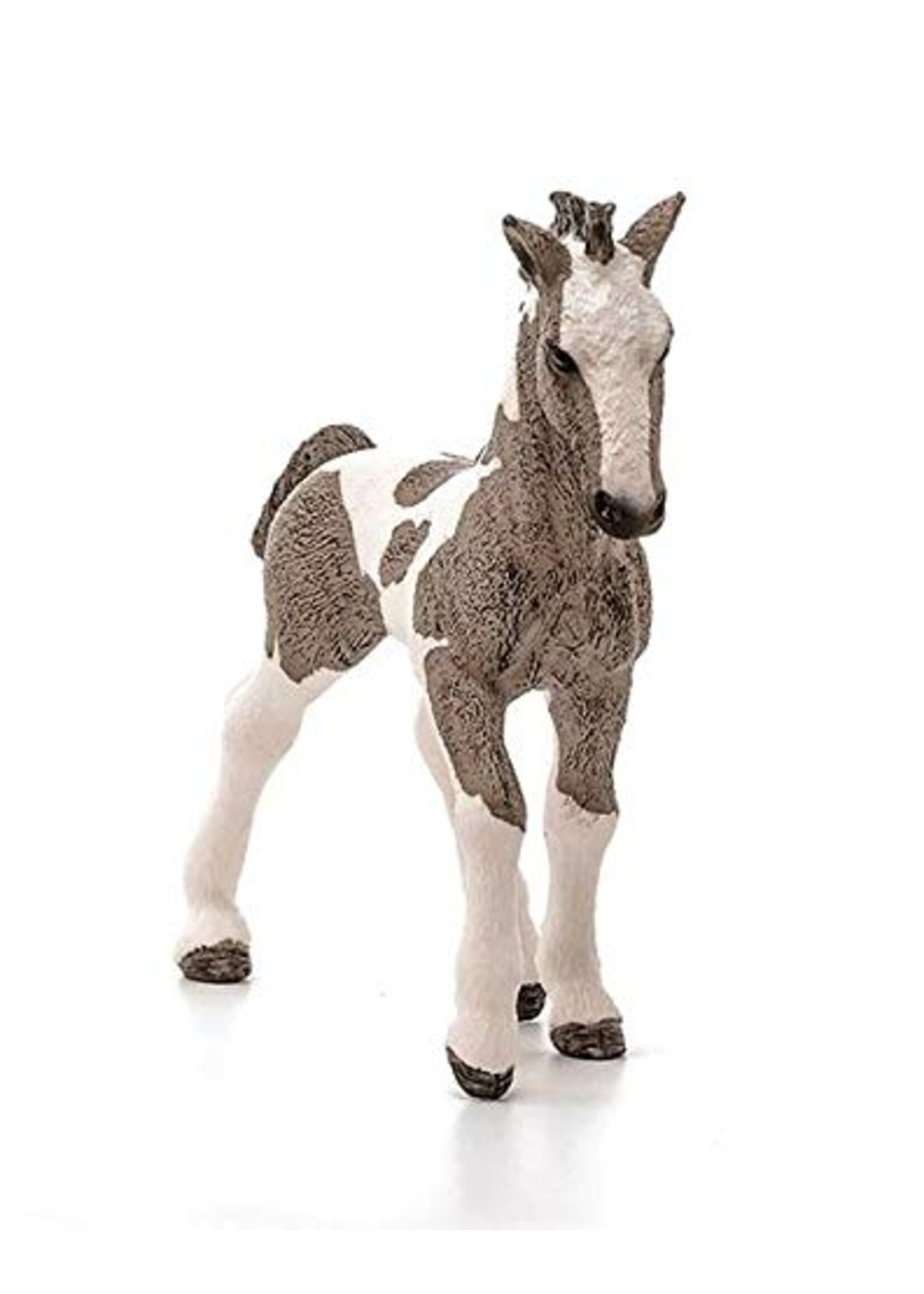 SCHLEICH SCHLEICH TINKER FOAL