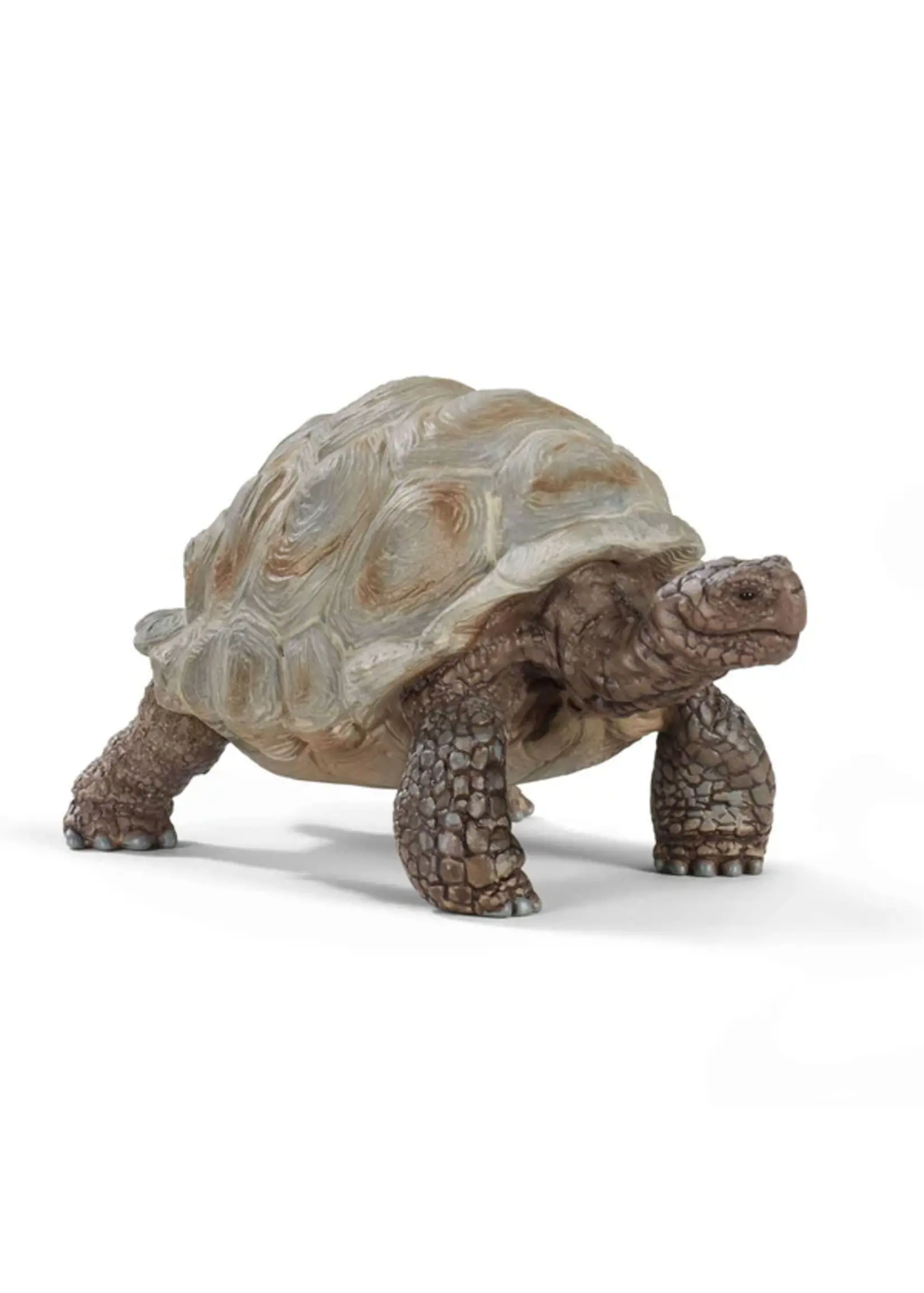 SCHLEICH SCHLEICH GIANT TORTOISE