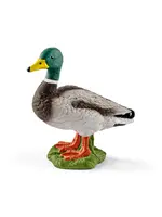 SCHLEICH SCHLEICH DRAKE