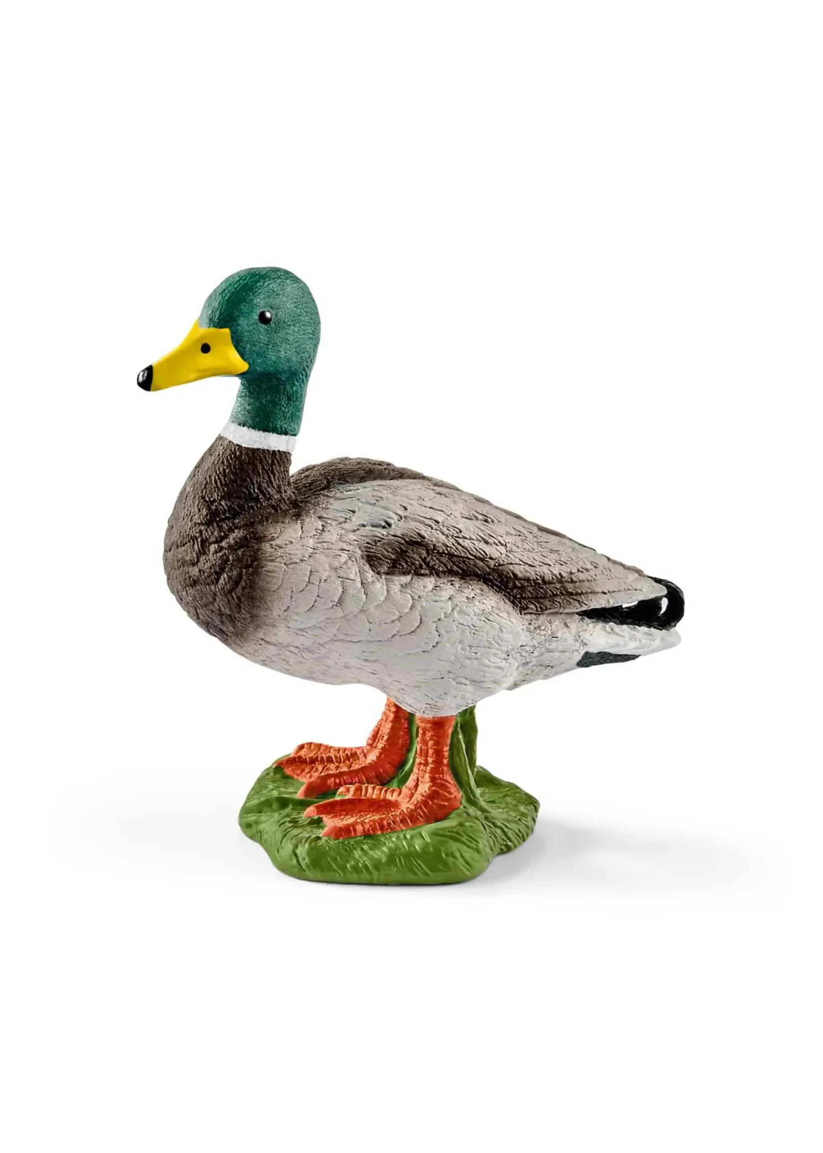 SCHLEICH SCHLEICH DRAKE