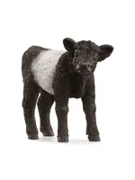 SCHLEICH SCHLEICH GALLOWAY CALF