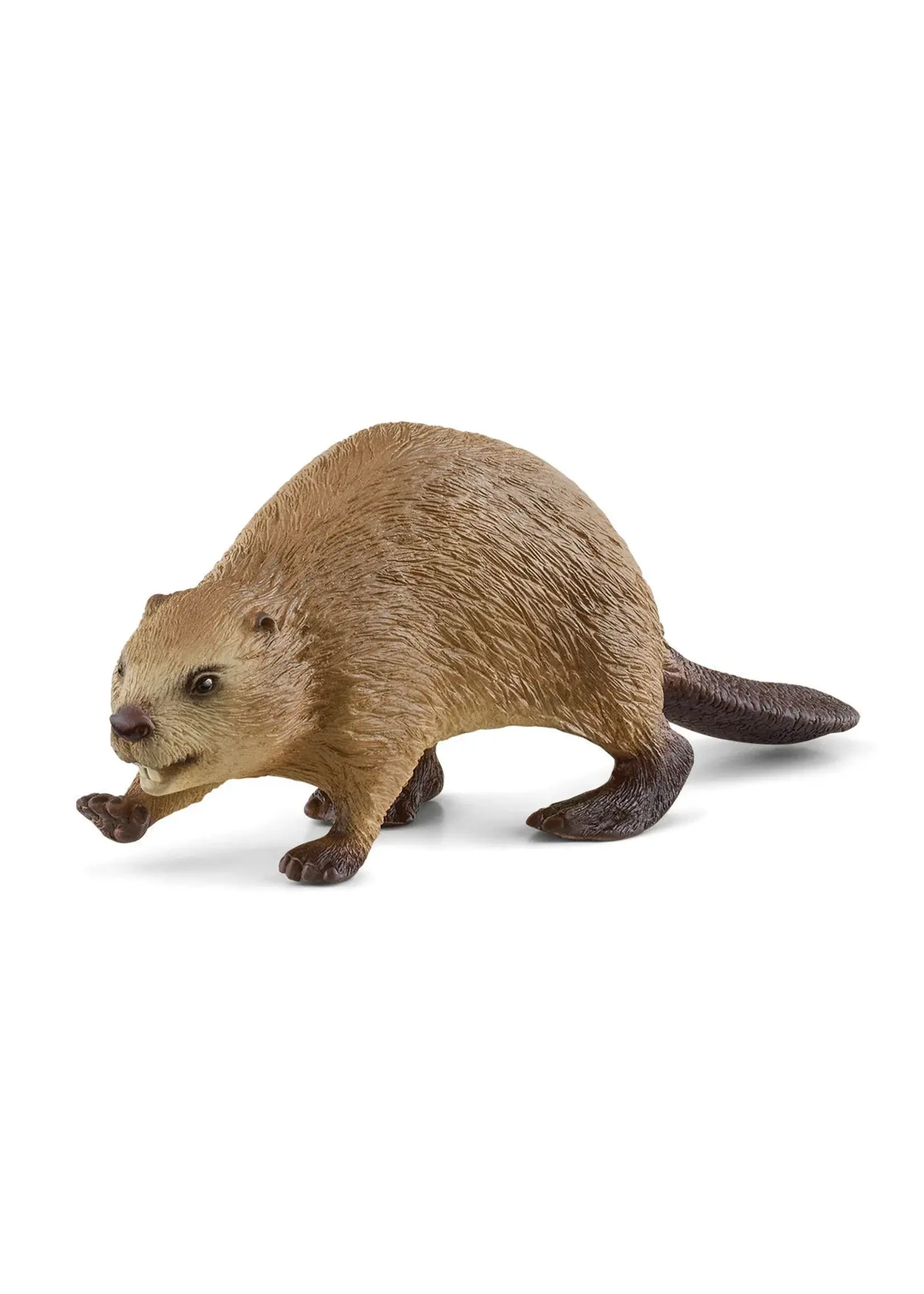 SCHLEICH SCHLEICH BEAVER