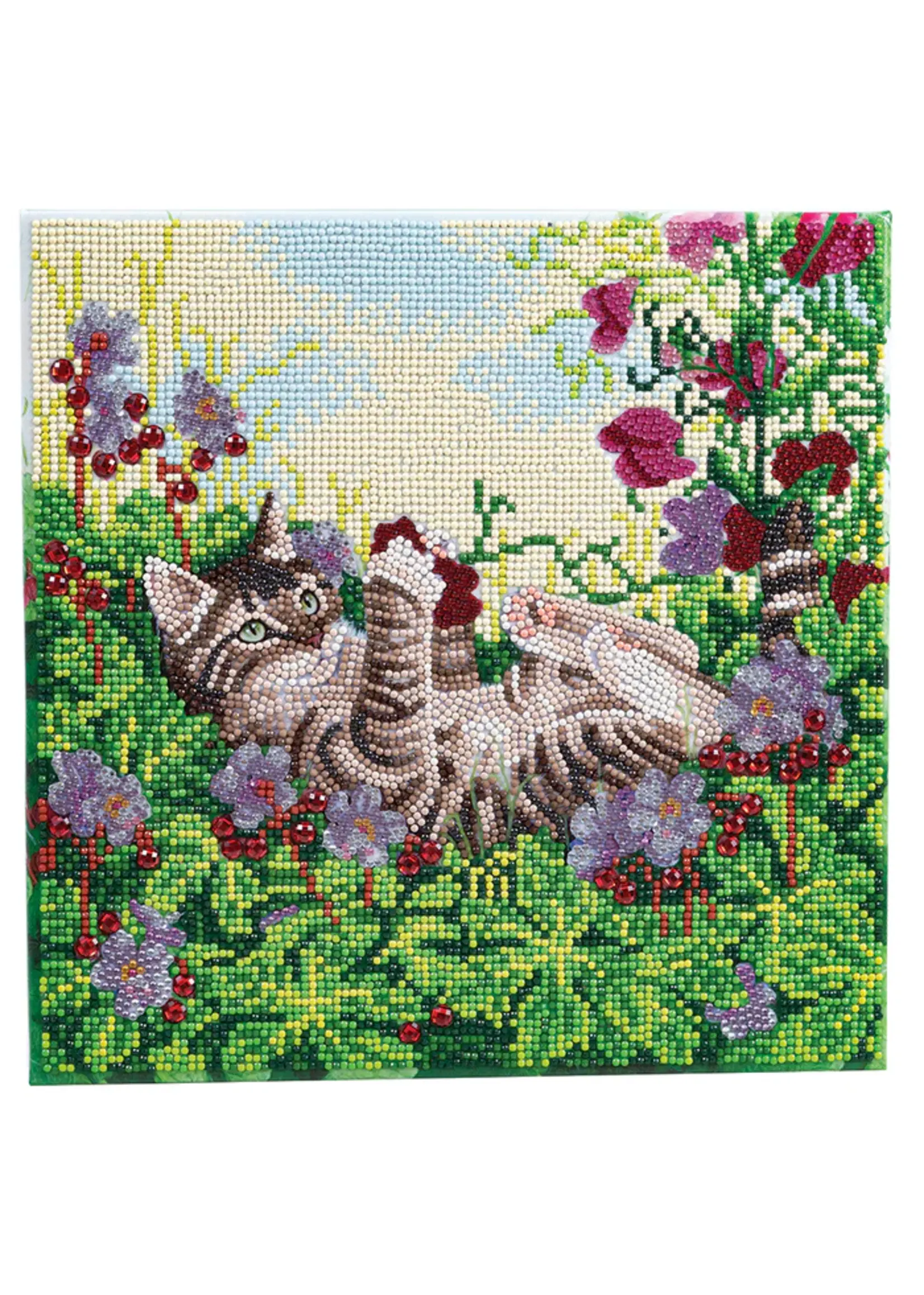 CRYSTAL ART PLAYFUL CAT