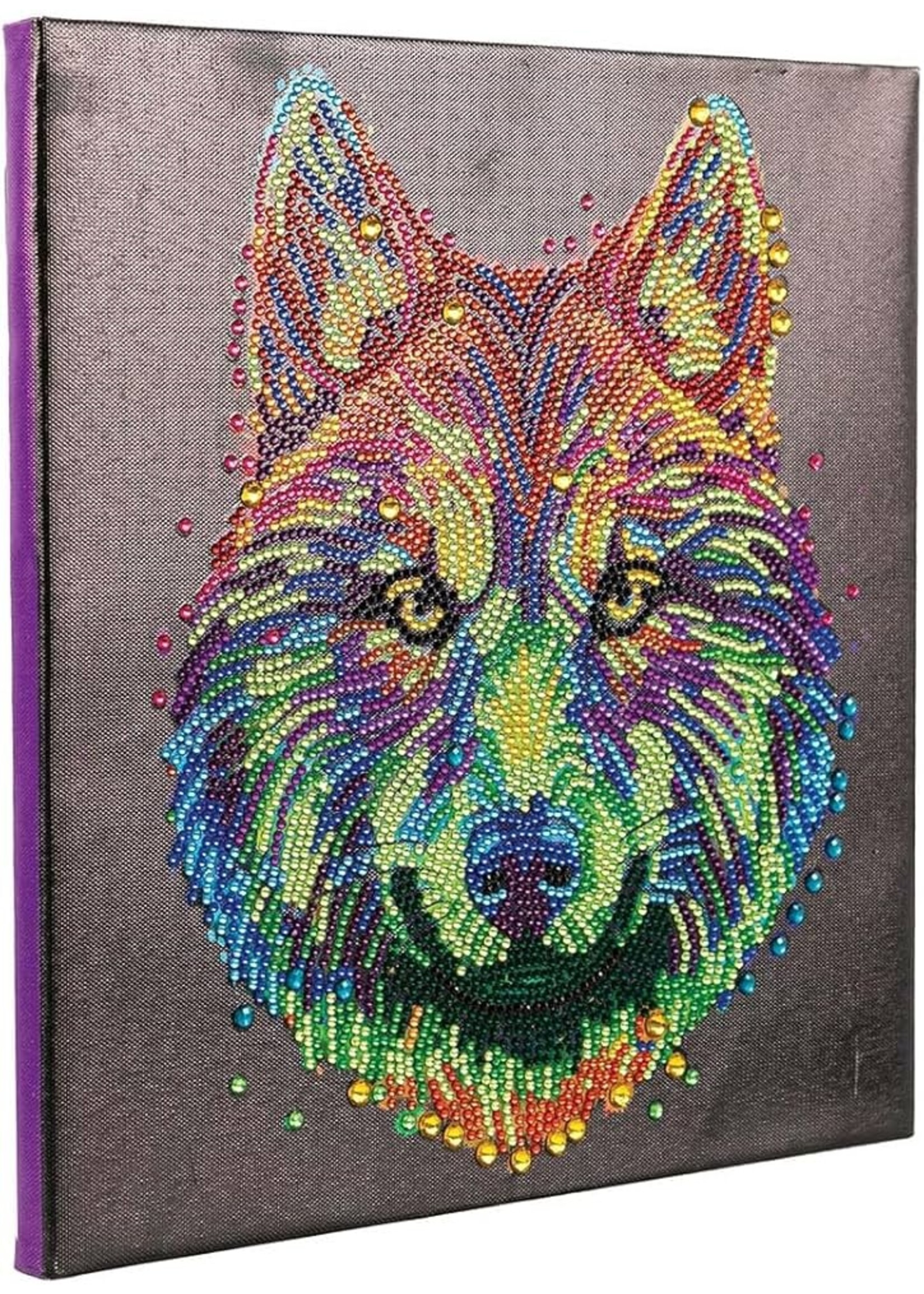 CRYSTAL ART COLORFUL WOLF