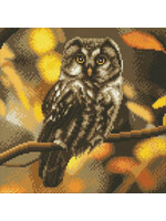 CRYSTAL ART TAWNY OWL
