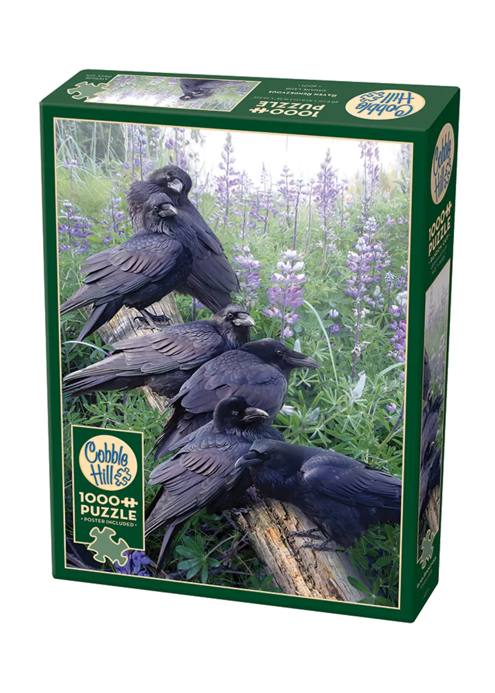 PUZZLE 1000 PCS RAVEN RENDEZVOUS