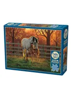 PUZZLE 500 PCS QUIET TIME