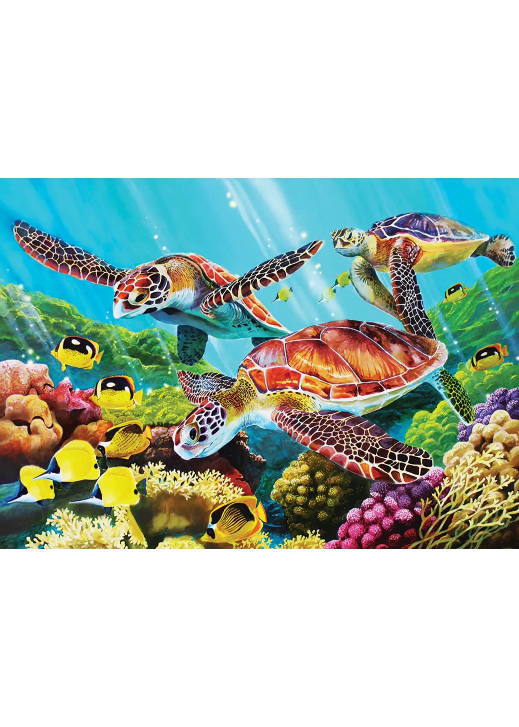 PUZZLE TRAY MOLOKINI SEA