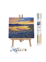 WINNIES PICKS PAINT BY NUMBER BLUEBONNET RHAPSODY