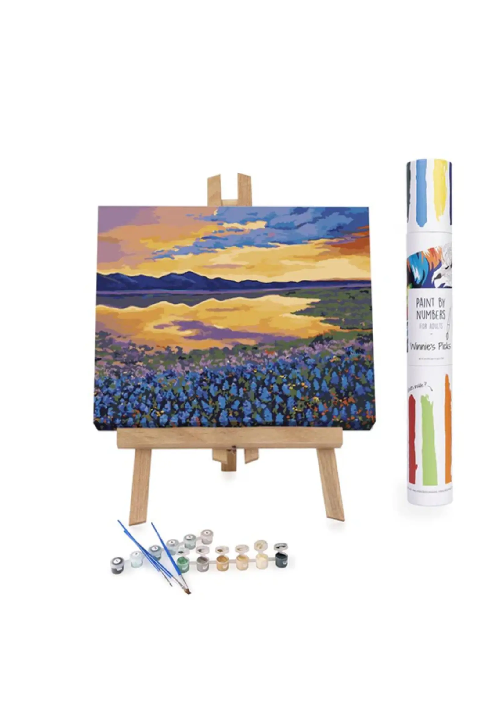 WINNIES PICKS PAINT BY NUMBER BLUEBONNET RHAPSODY