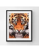 WINNIES PICKS PAINT BY NUMBER TIGER FACE