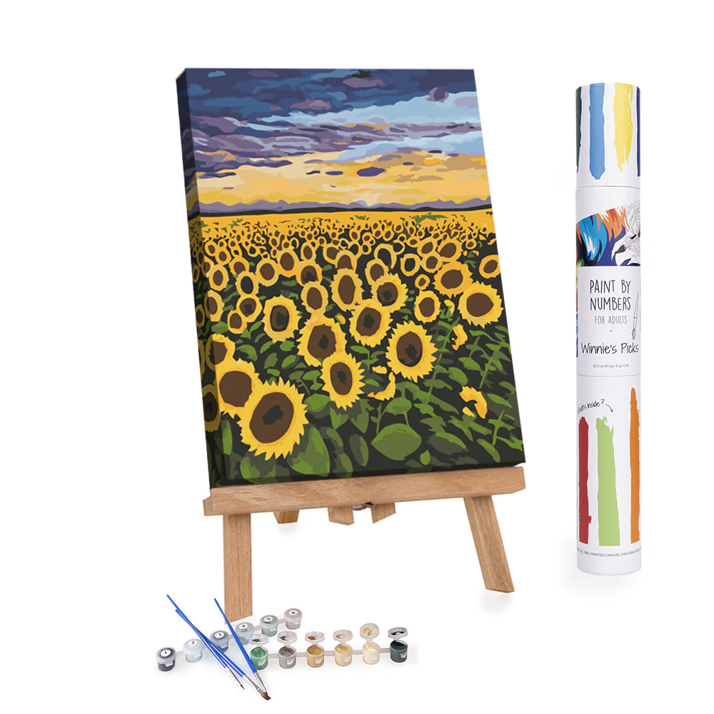 PAINT BY NUMBER SUNSET SUNBURST