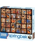 SPRINGBOK PUZZLE 2000 PCS SIX STRING SYMPHONY