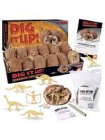 DIG IT UP! DINOSAUR SKELETONS