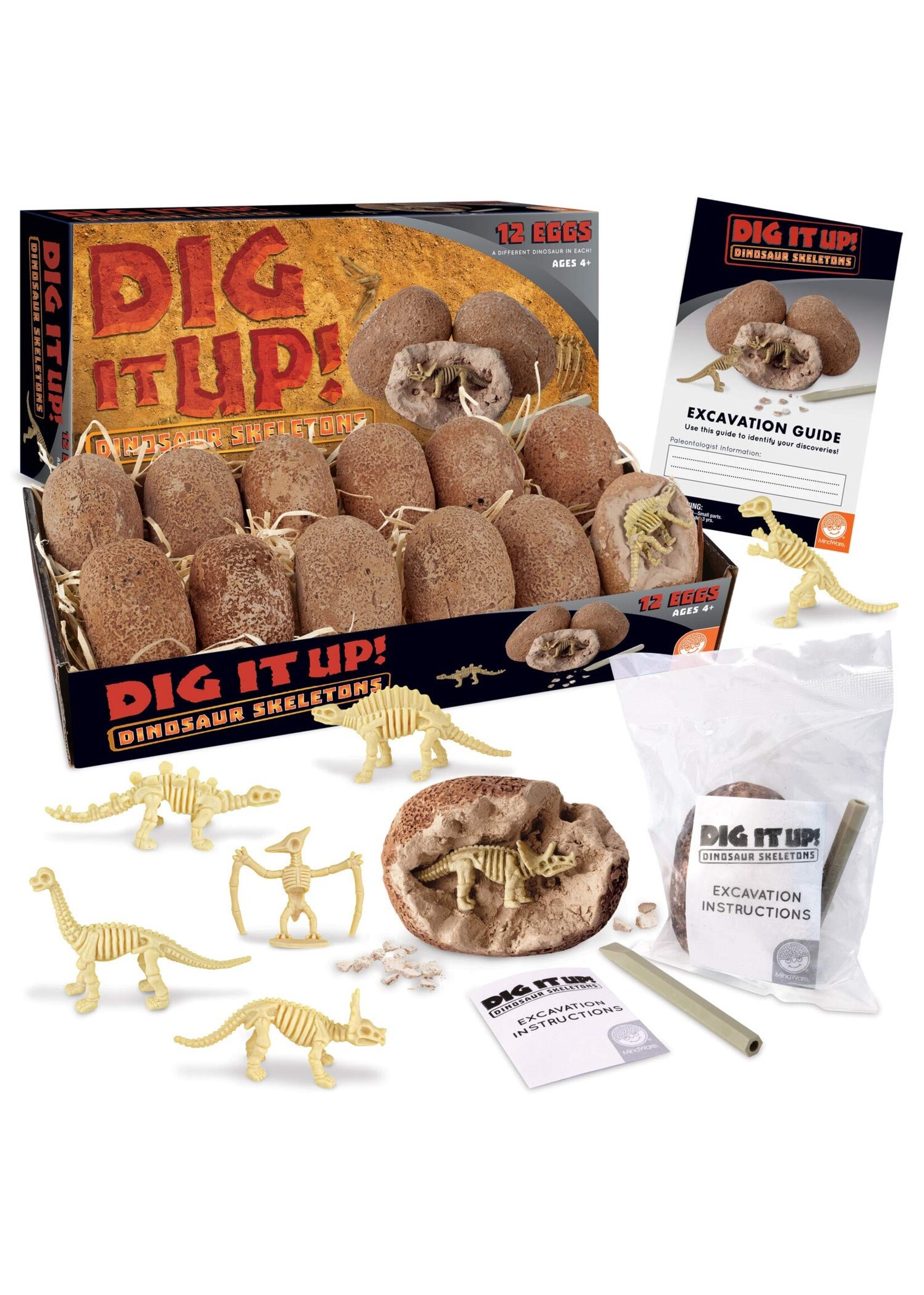 DIG IT UP! DINOSAUR SKELETONS
