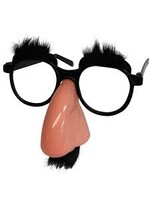 HOUSE OF MARBLES HOM DISGUISE GLASSES