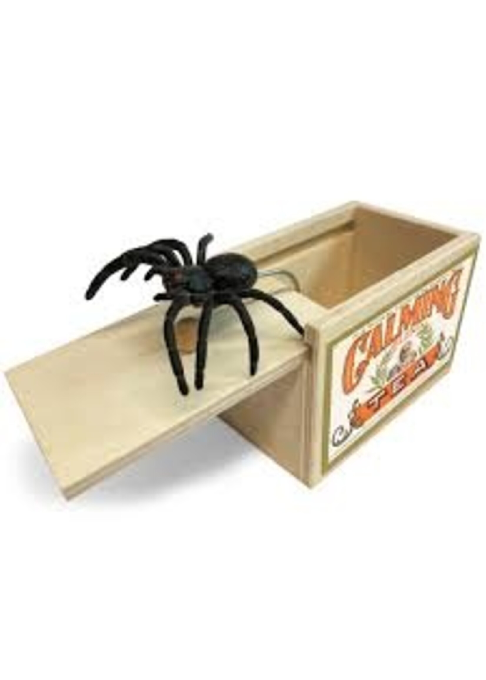 HOUSE OF MARBLES HOM SPIDER SURPRISE BOX