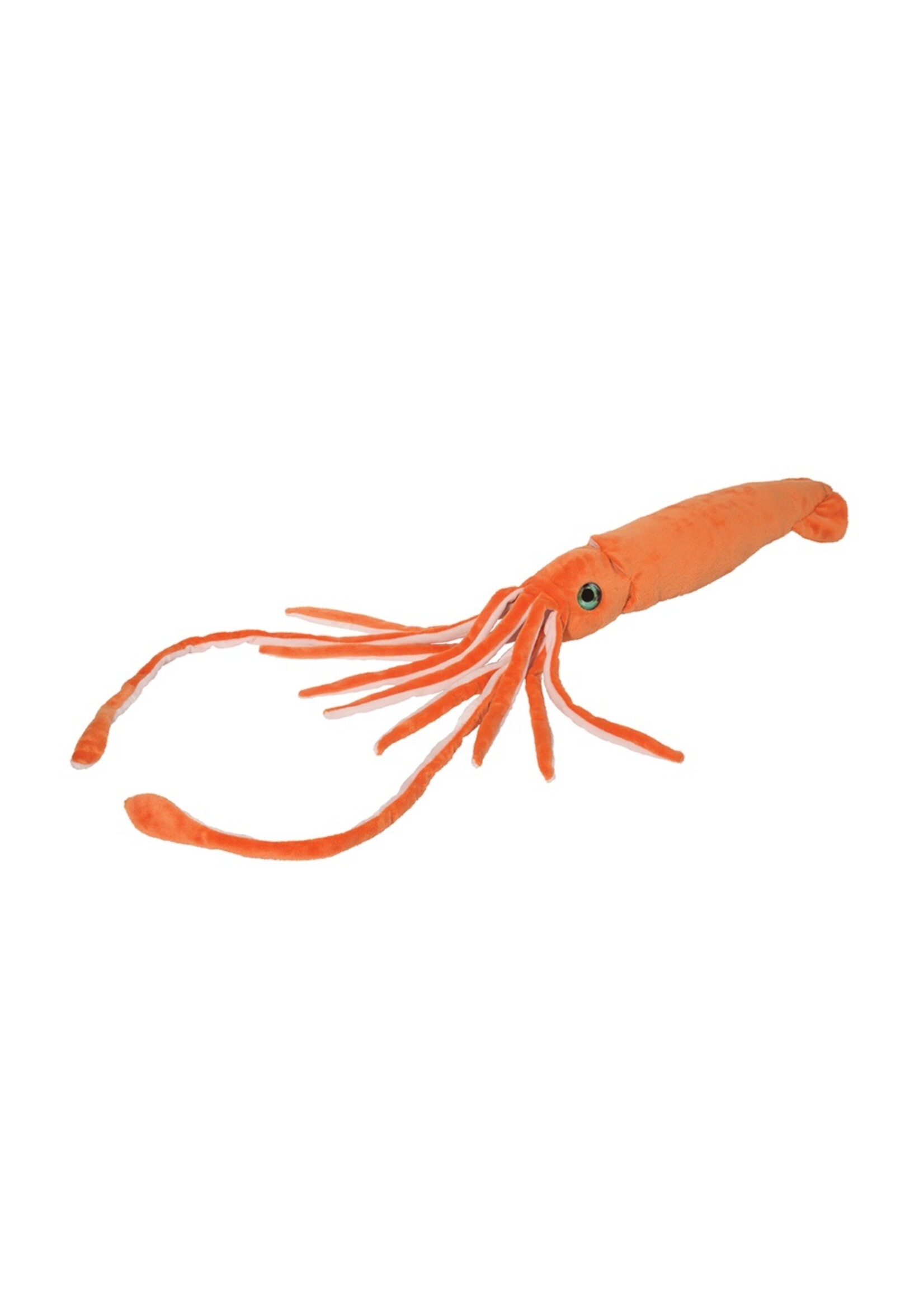 DOUGLAS PLUSH SQUID STRETCH
