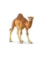 SCHLEICH SCHLEICH DROMEDARY
