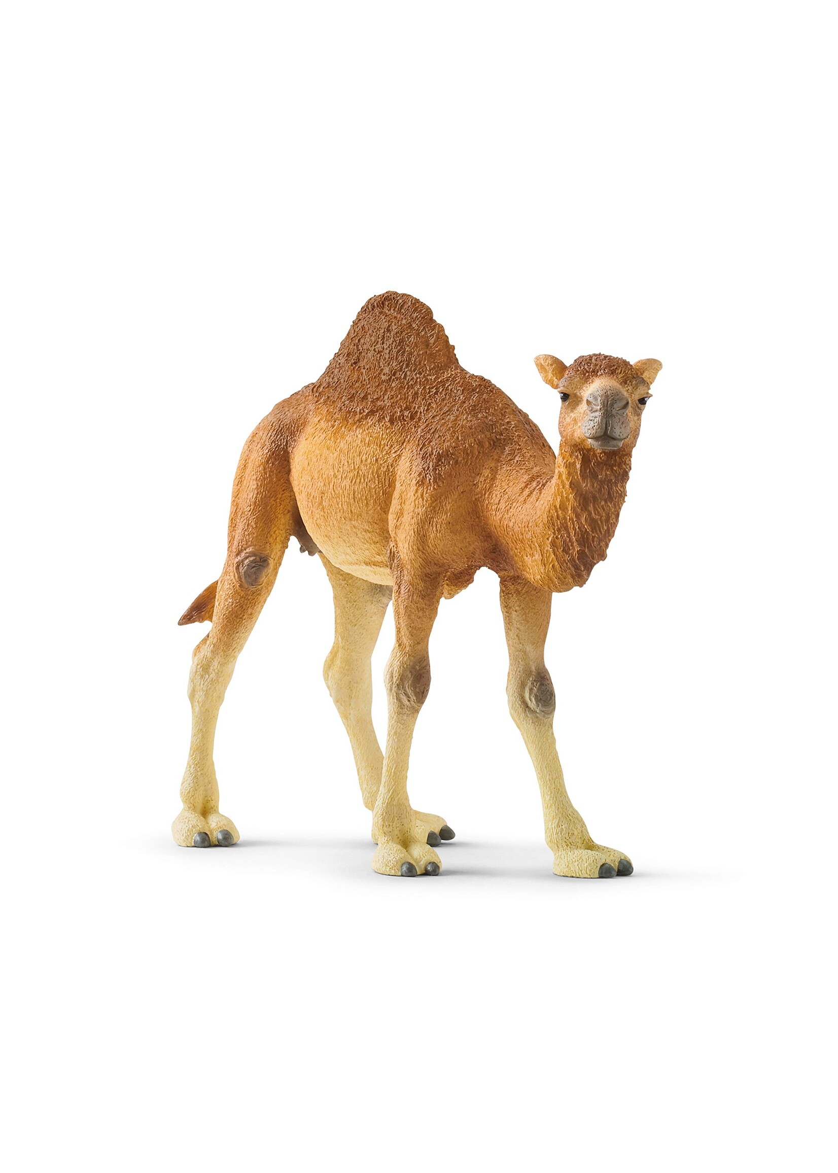 SCHLEICH SCHLEICH DROMEDARY