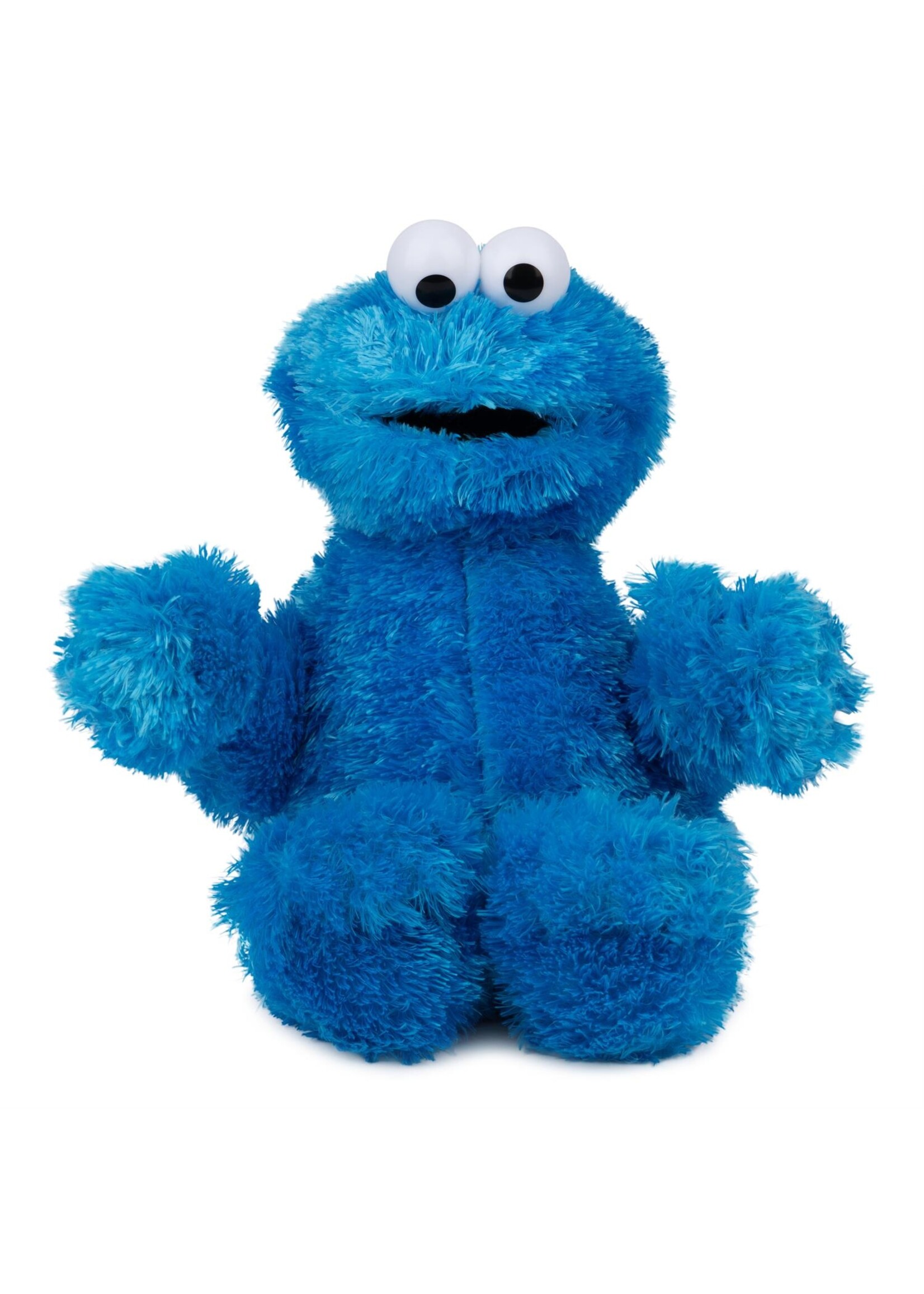 PLUSH COOKIE MONSTER