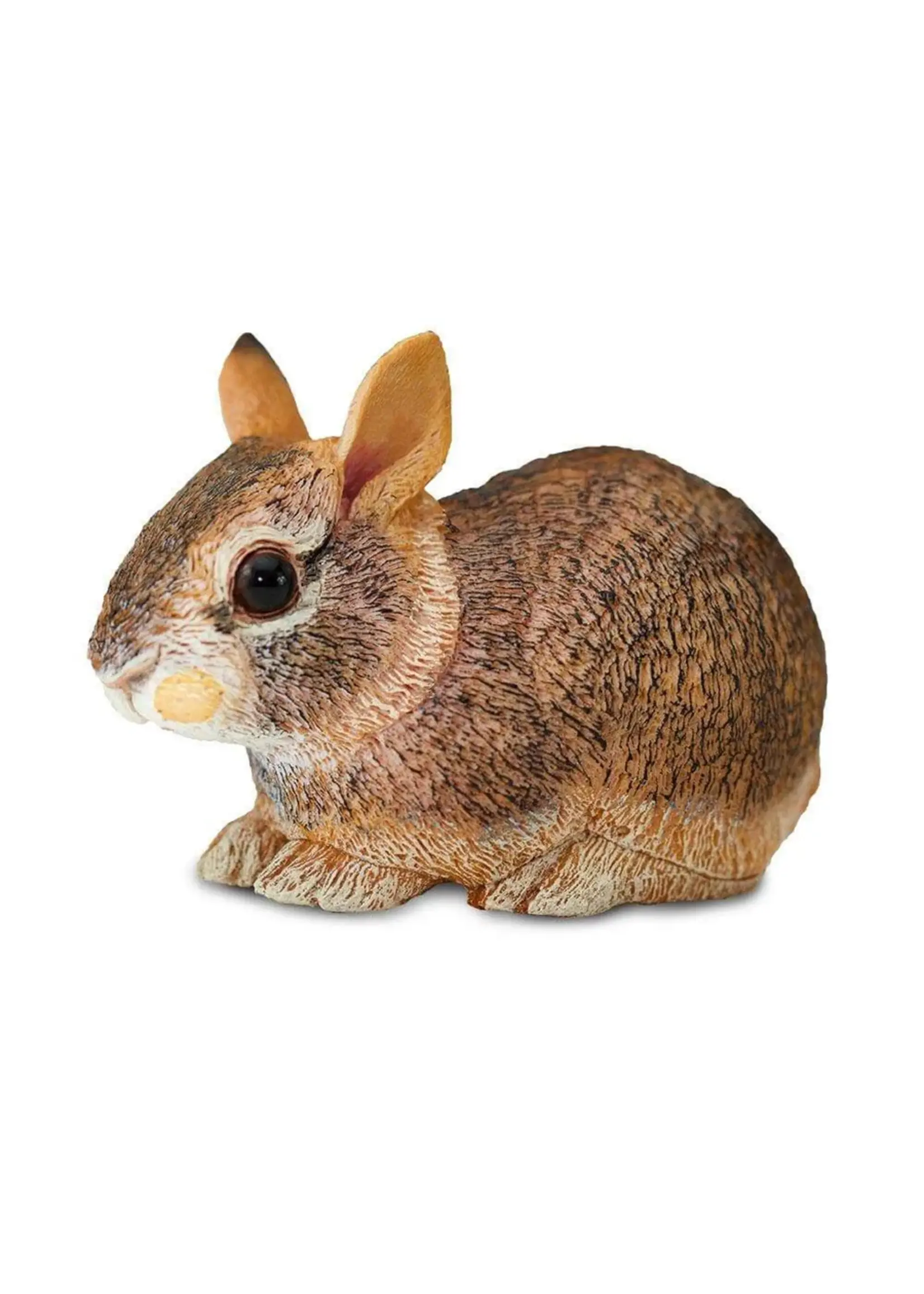 SAFARI LTD SAFARI EASTERN COTTONTAIL RABBIT BABY