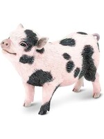 SAFARI LTD SAFARI POT-BELLIED PIG