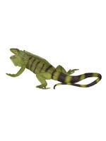 SAFARI LTD SAFARI IGUANA