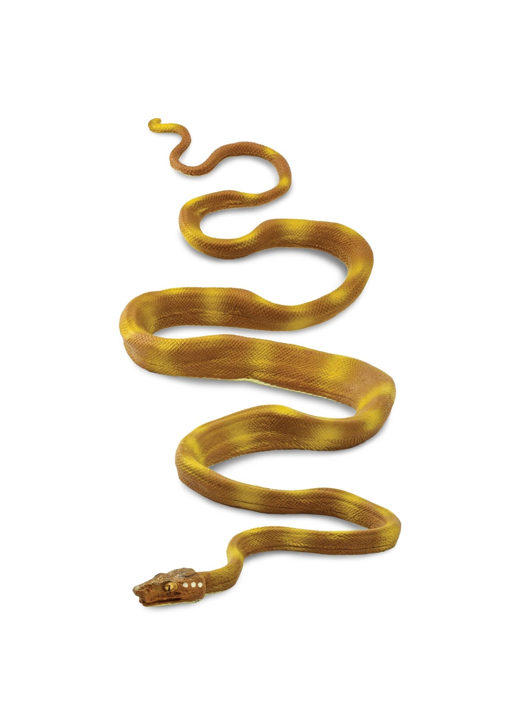 SAFARI LTD SAFARI AMAZON TREE BOA