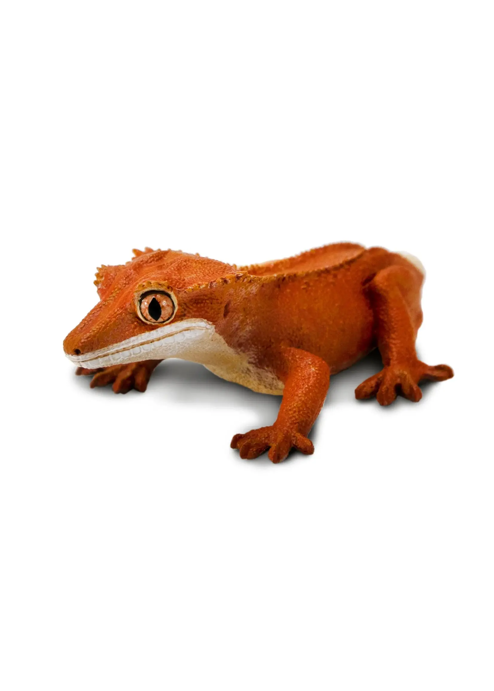 SAFARI LTD SAFARI CRESTED GECKO
