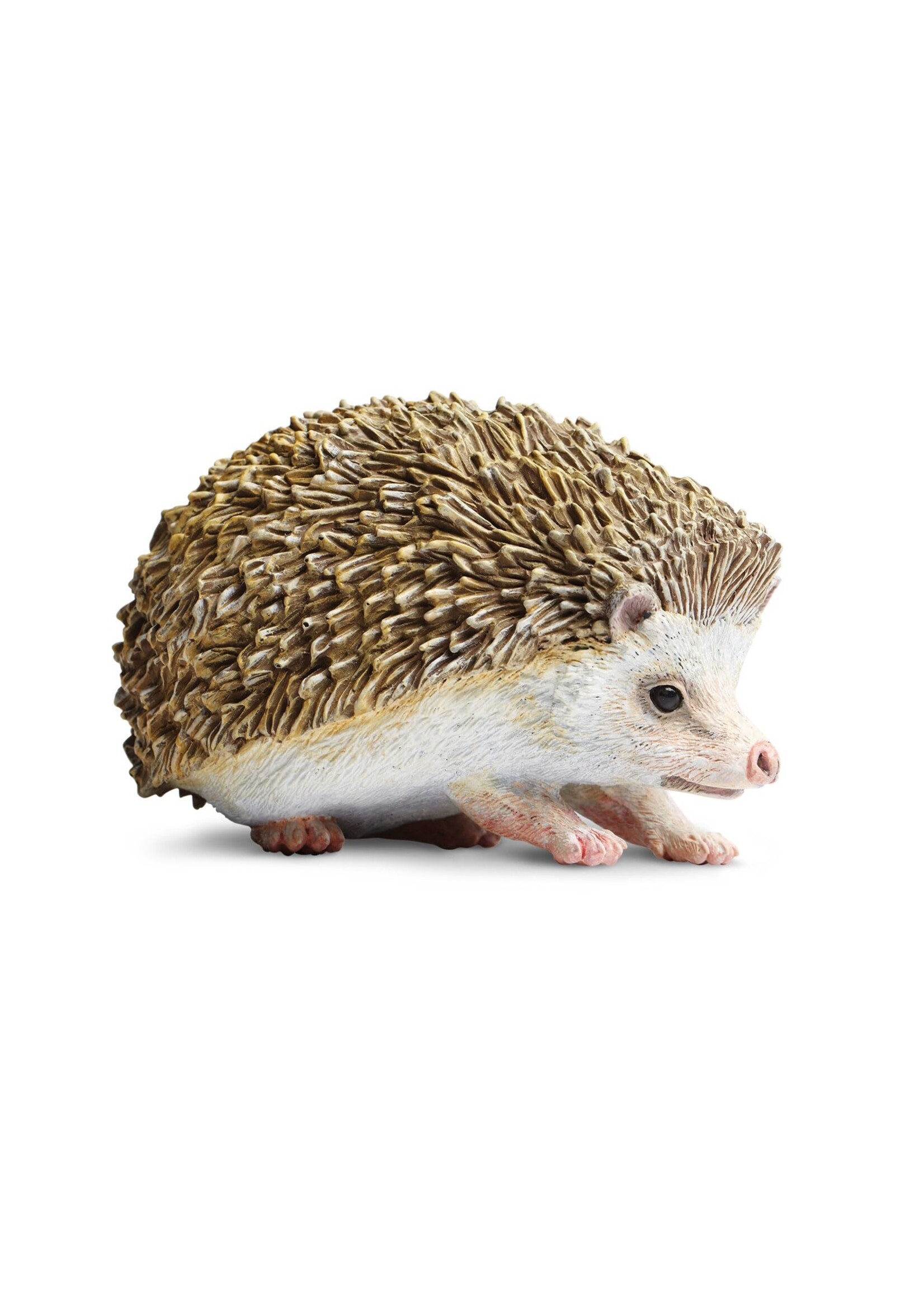SAFARI LTD SAFARI HEDGEHOG