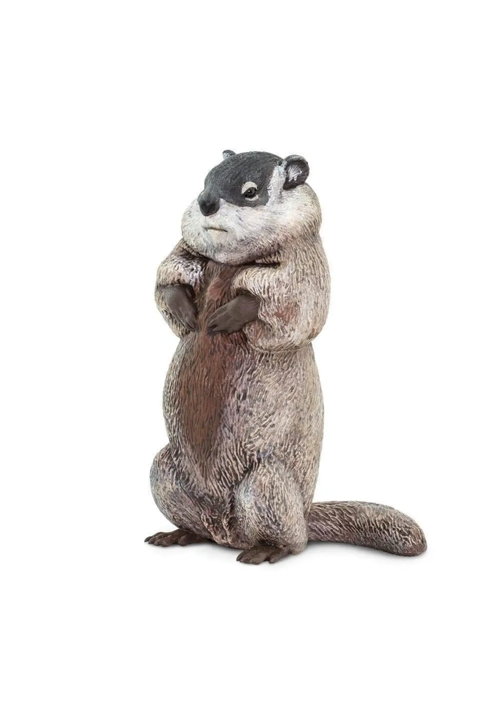 SAFARI LTD SAFARI GROUNDHOG