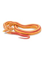 SAFARI LTD SAFARI CORN SNAKE