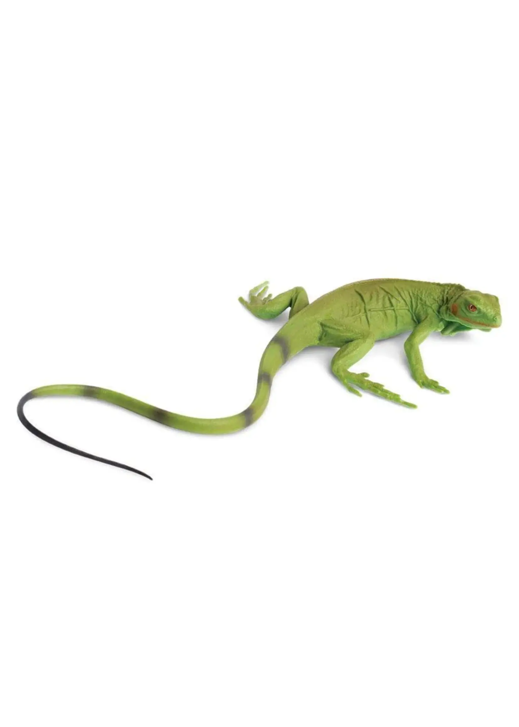 SAFARI LTD SAFARI IGUANA BABY