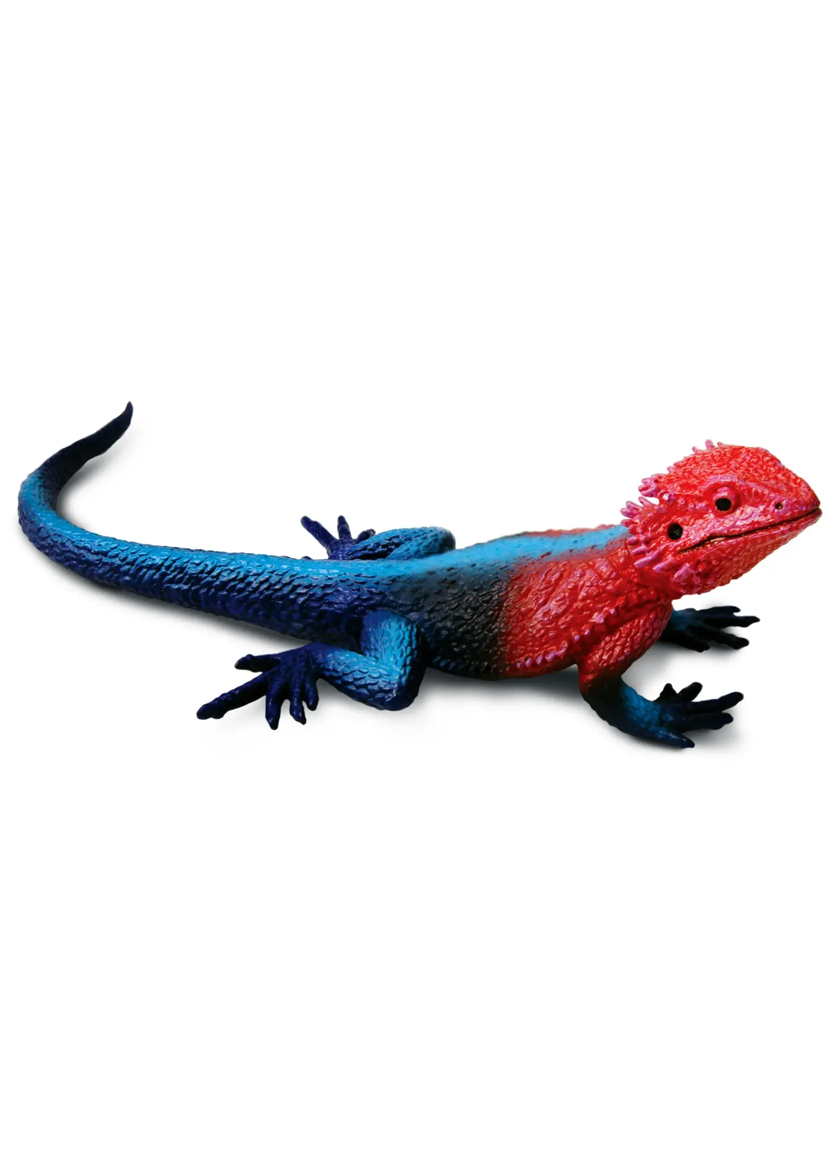 SAFARI LTD SAFARI MWANZA FLAT-HEADED ROCK AGAMA