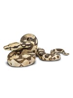 SAFARI LTD SAFARI BOA CONSTRICTOR
