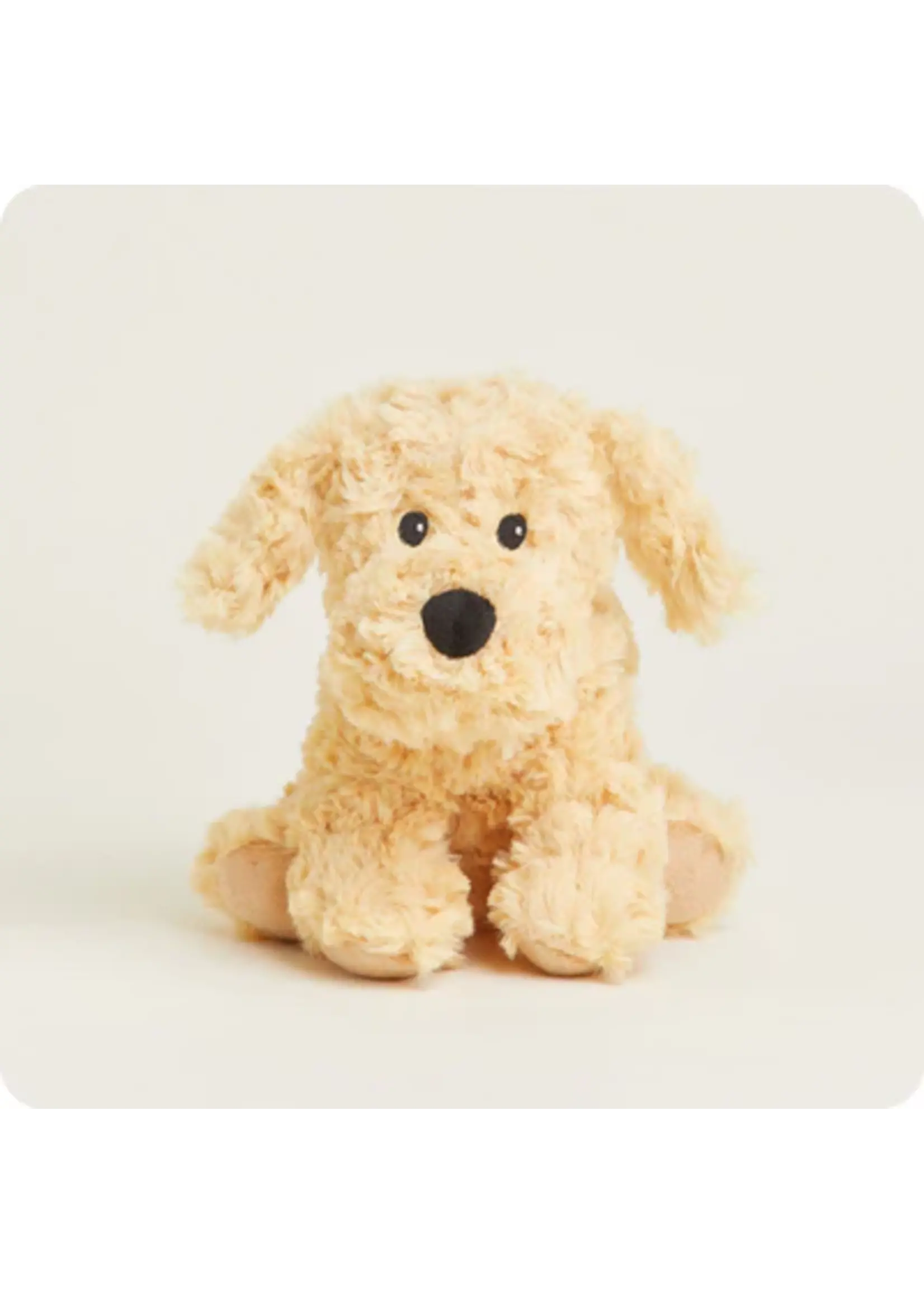 INTELEX (WARMIES) PLUSH WARMIES JUNIOR GOLDEN DOG