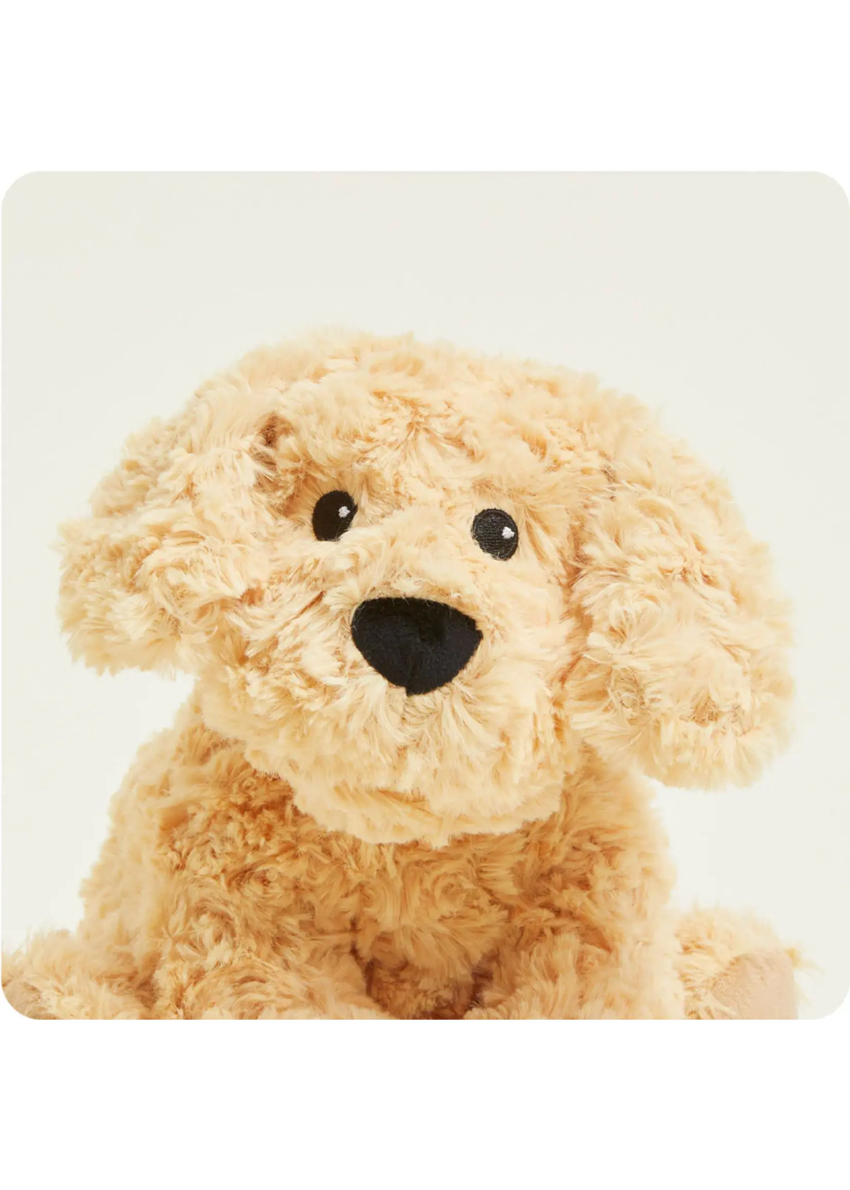 INTELEX (WARMIES) PLUSH WARMIES GOLDEN DOG