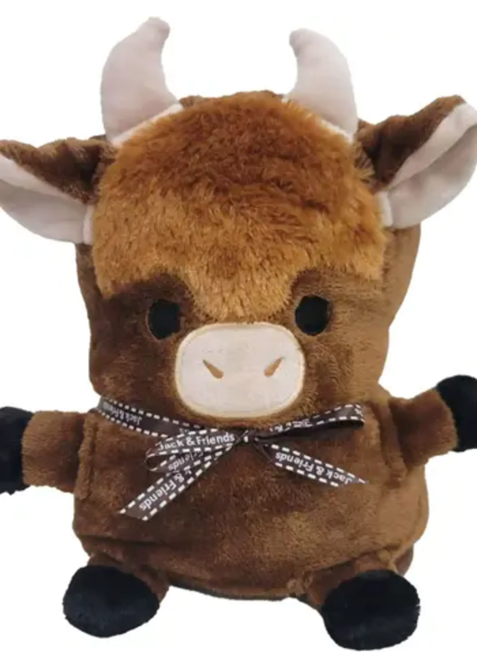 PLUSH BLANKET BISON