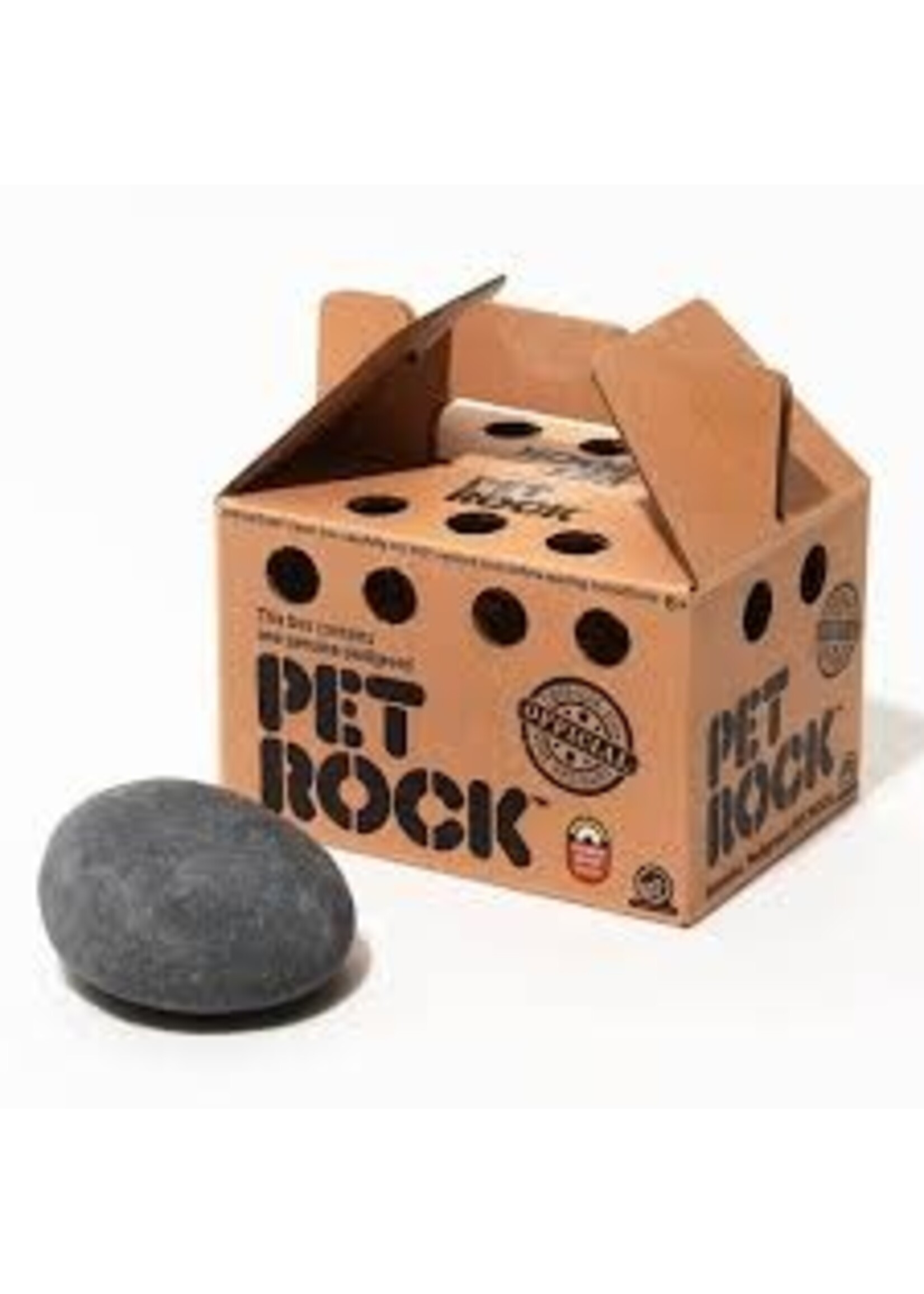 PET ROCK