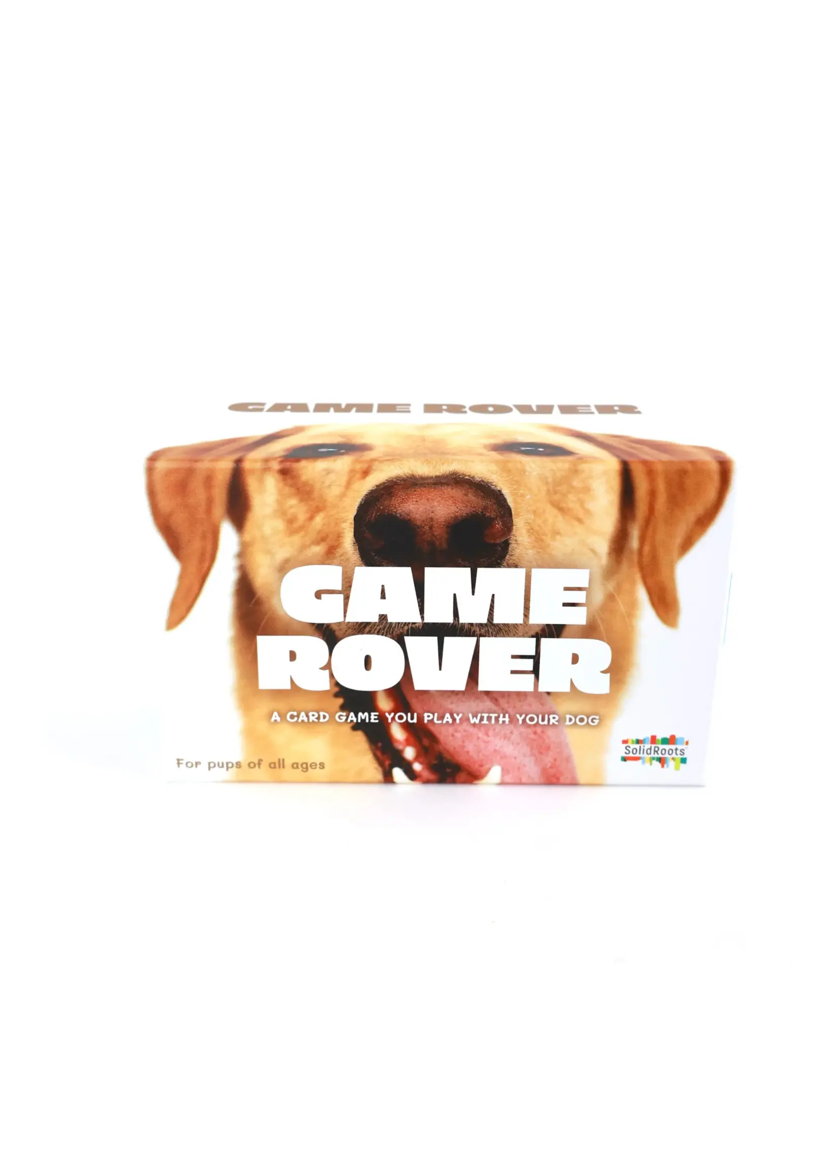 GAME ROVER