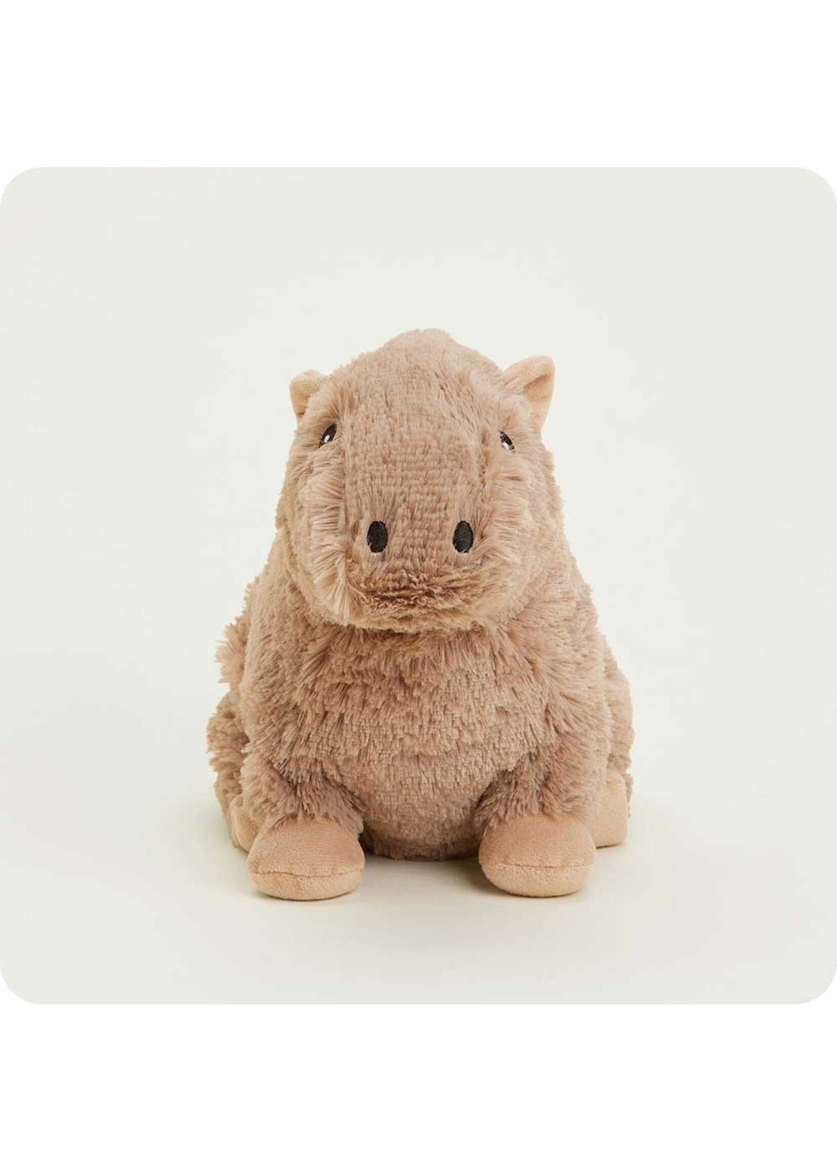 INTELEX (WARMIES) PLUSH WARMIES CAPYBARA