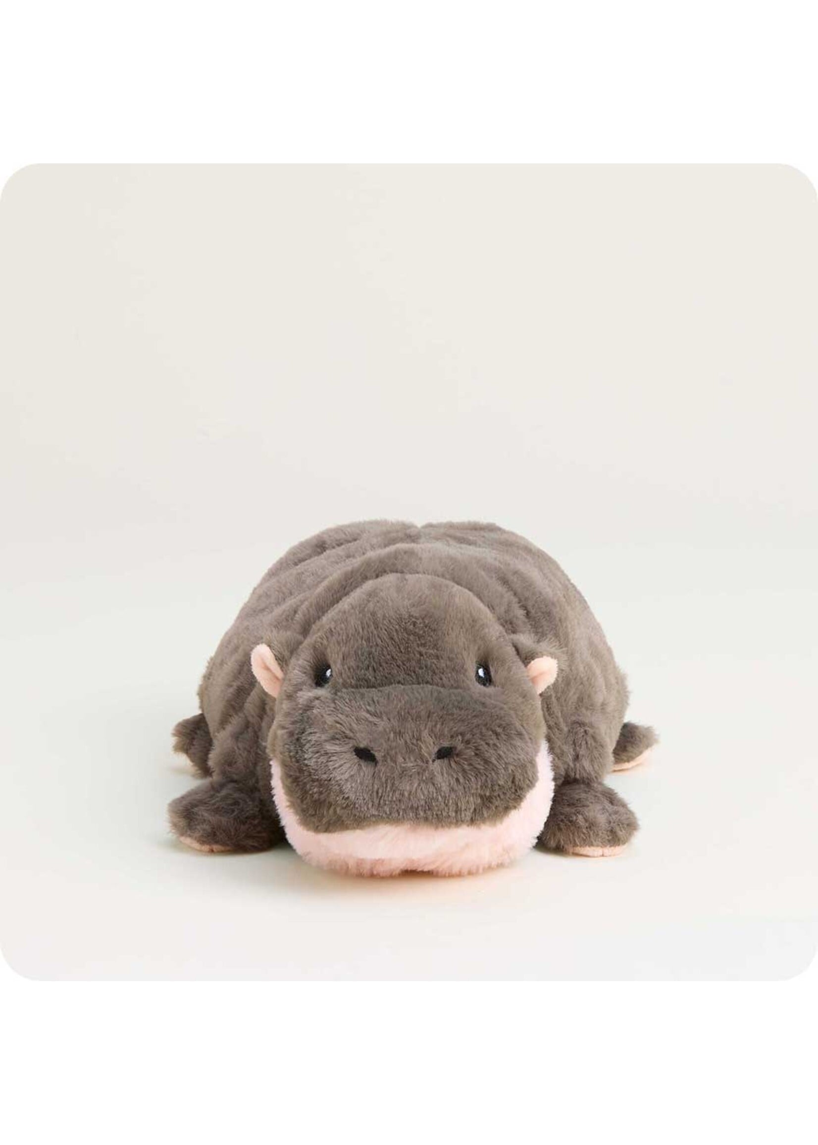 INTELEX (WARMIES) PLUSH WARMIES HIPPO