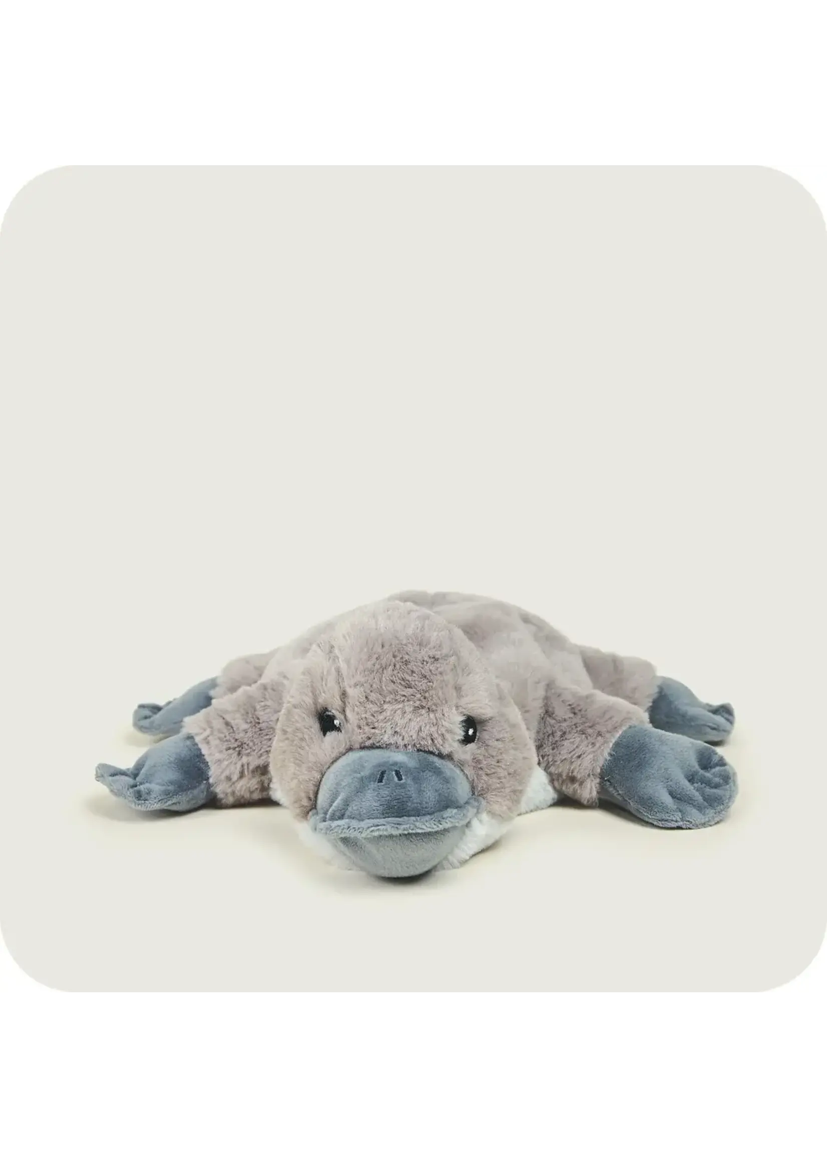 INTELEX (WARMIES) PLUSH WARMIES PLATYPUS