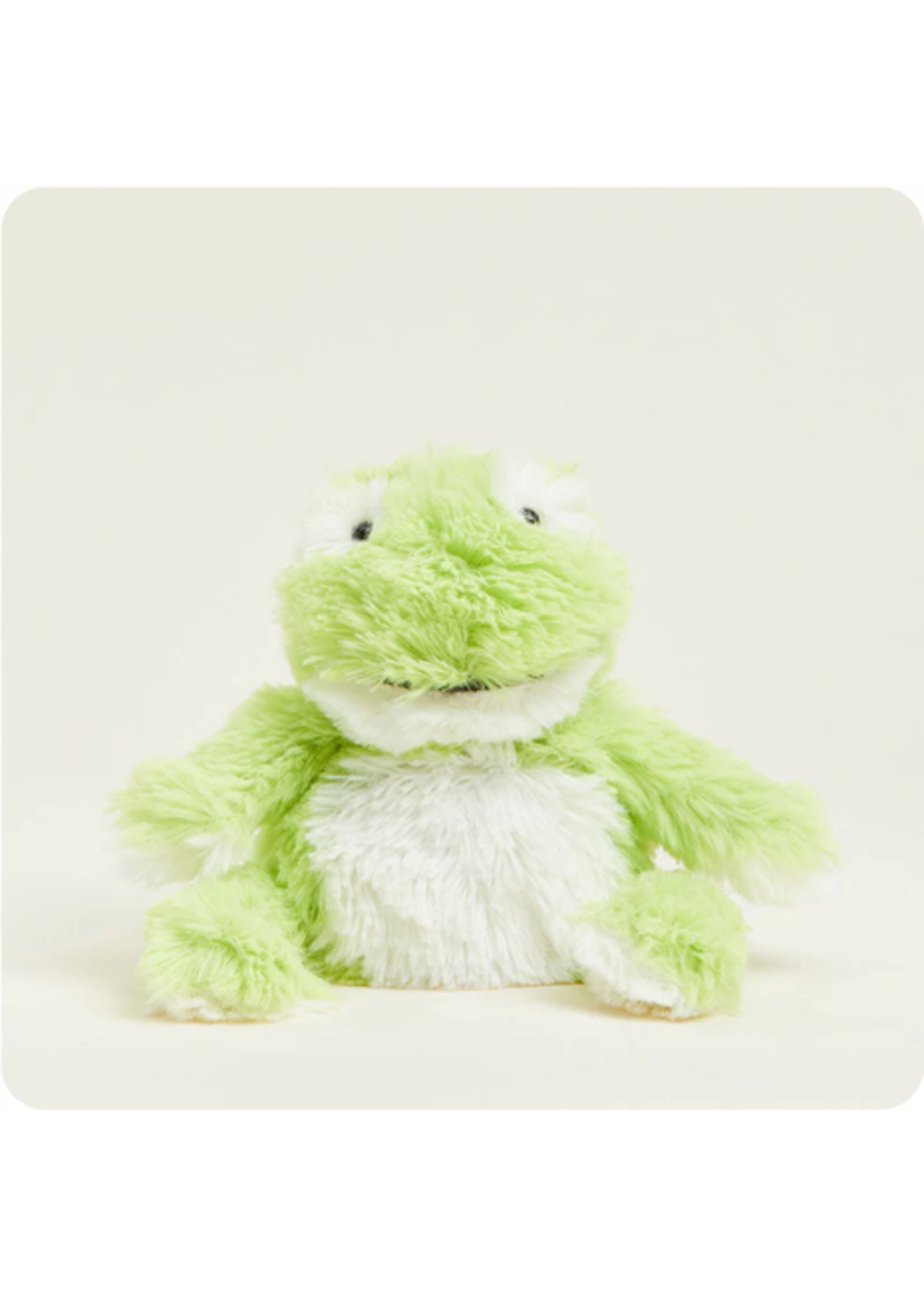 INTELEX (WARMIES) PLUSH WARMIES JUNIOR FROG